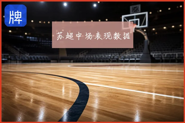 苏超中场表现数据